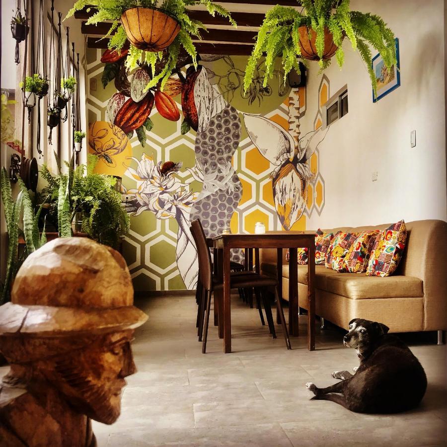 Auberge de jeunesse El Caracol à Popayan Extérieur photo